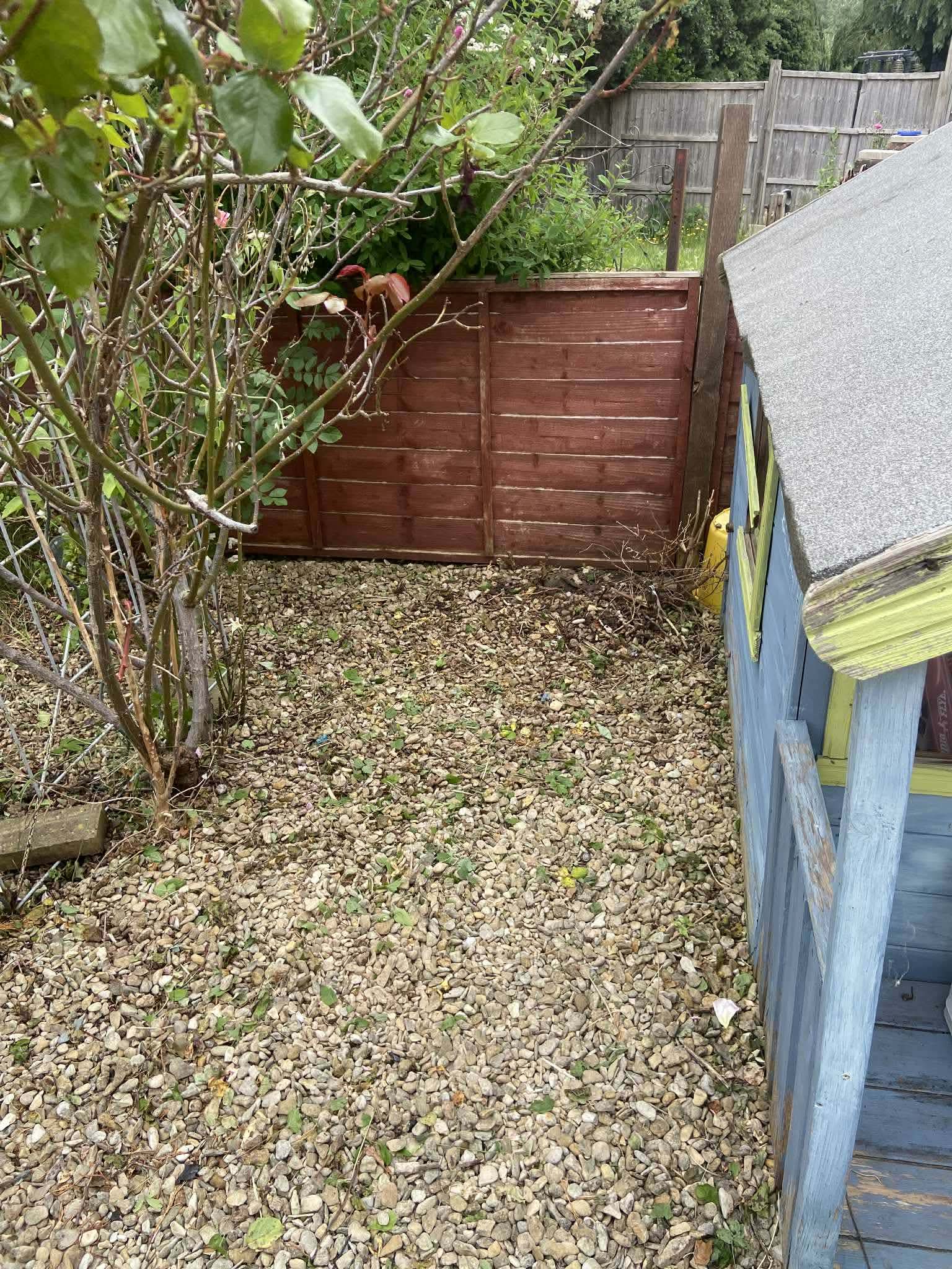 Hedge Cleanup - After